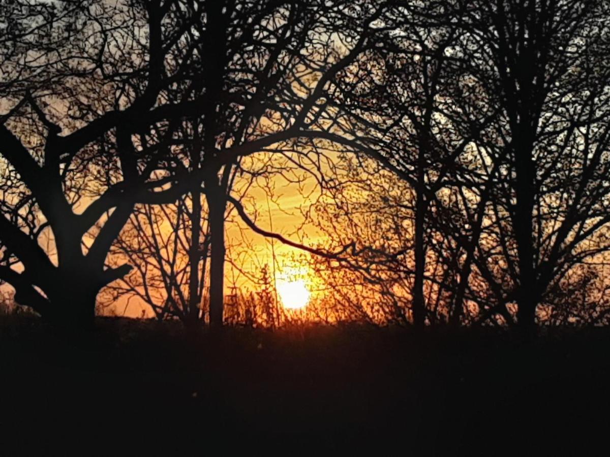 Villa Commune Poldersview Sluis Bagian luar foto